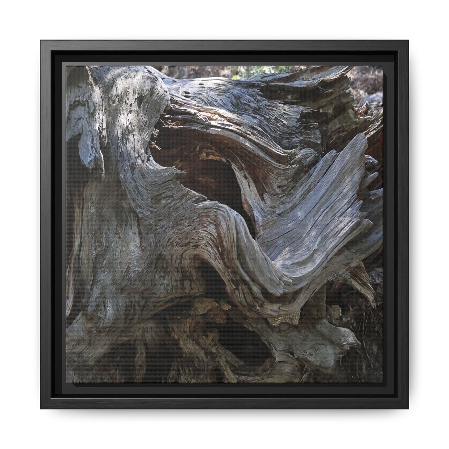 Twisted Memories - Unique Stretched Canvas Wall Art