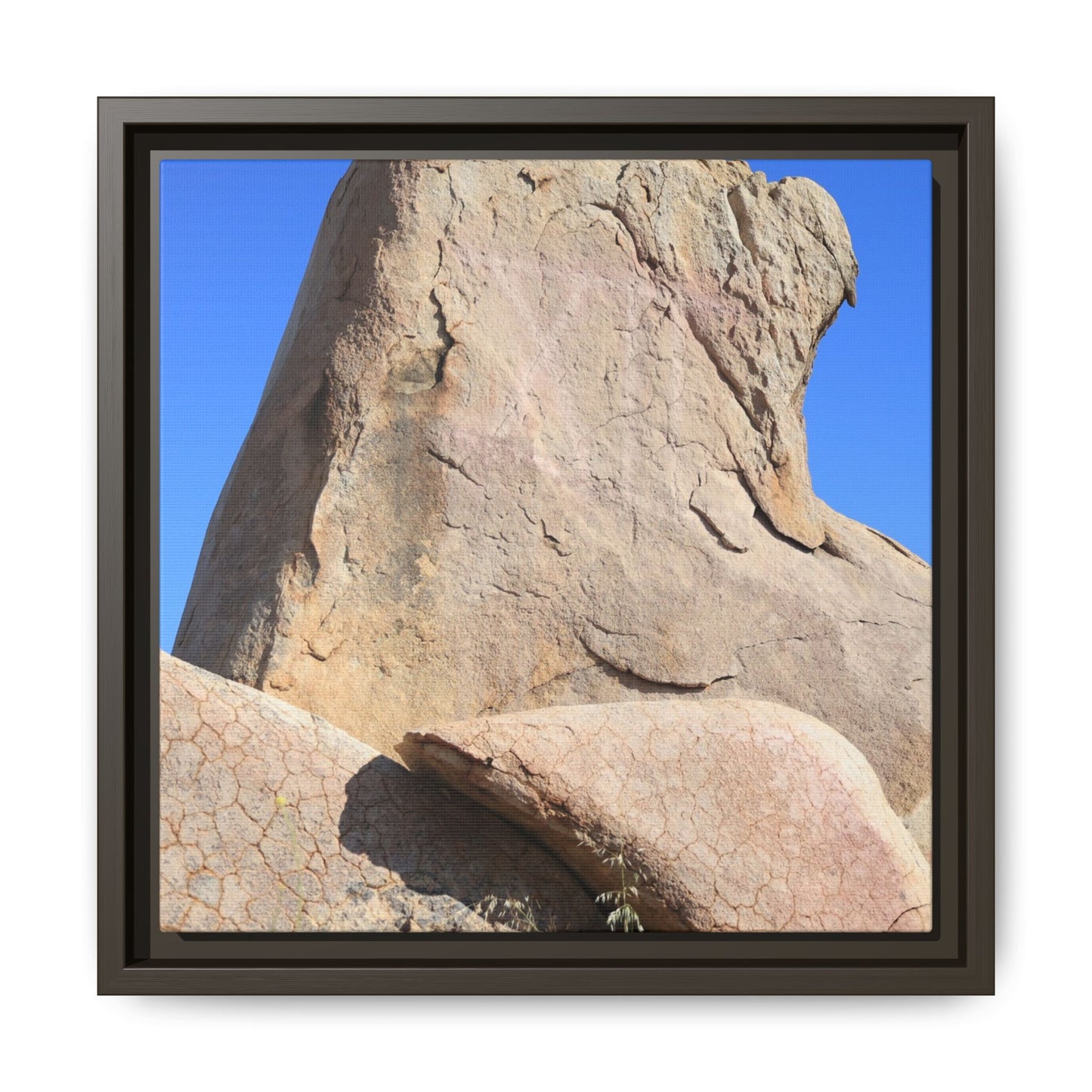Rocky Sentinel - Unique Stretched Canvas Wall Art
