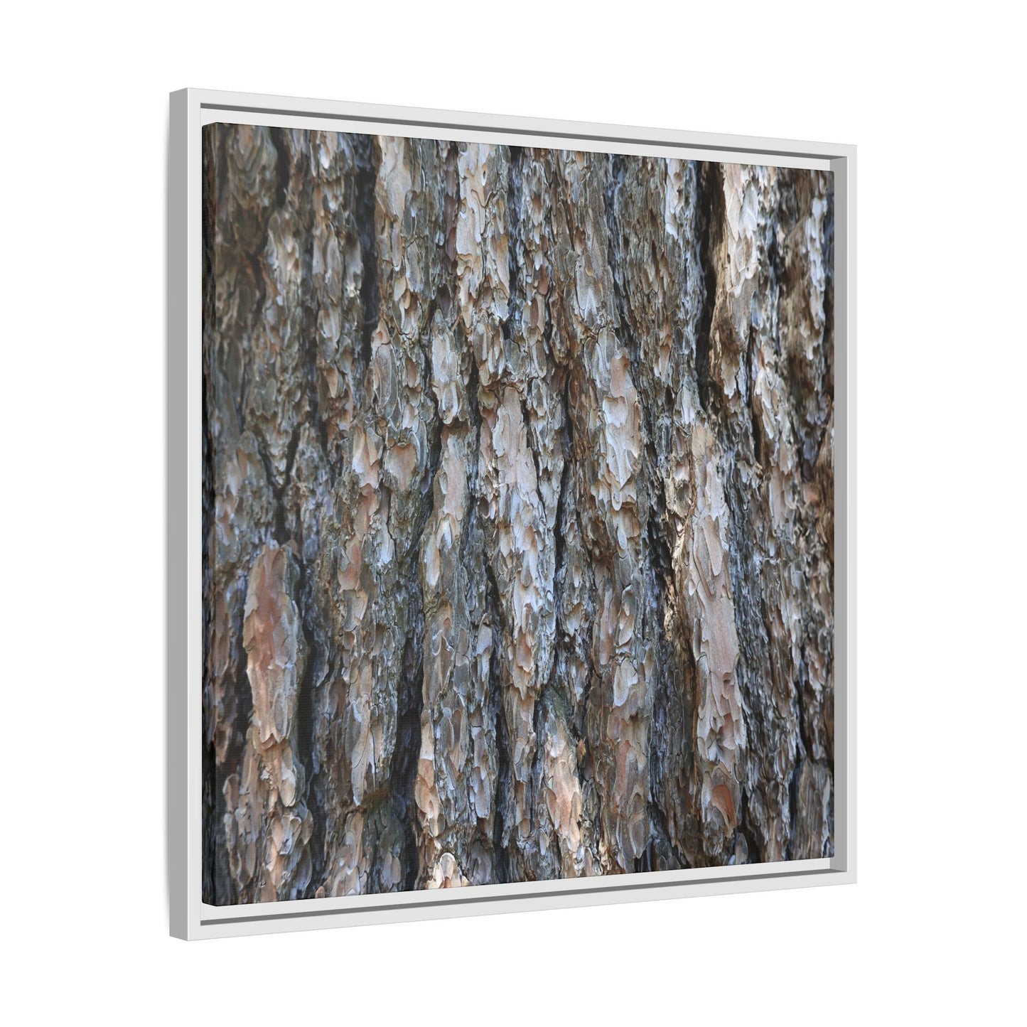 Bark Whispers - Unique Stretched Canvas Wall Art