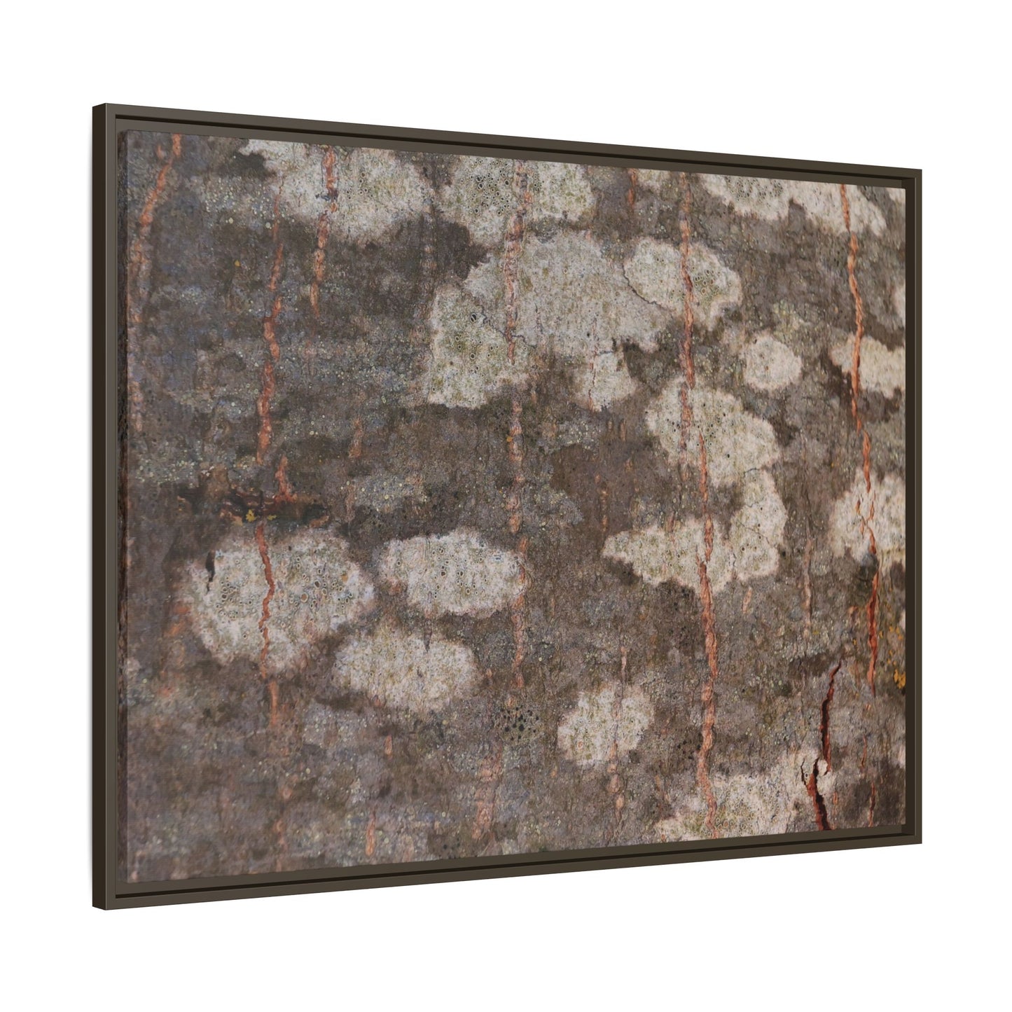 Lichen's Legacy - Unique Stretched Canvas Wall Art