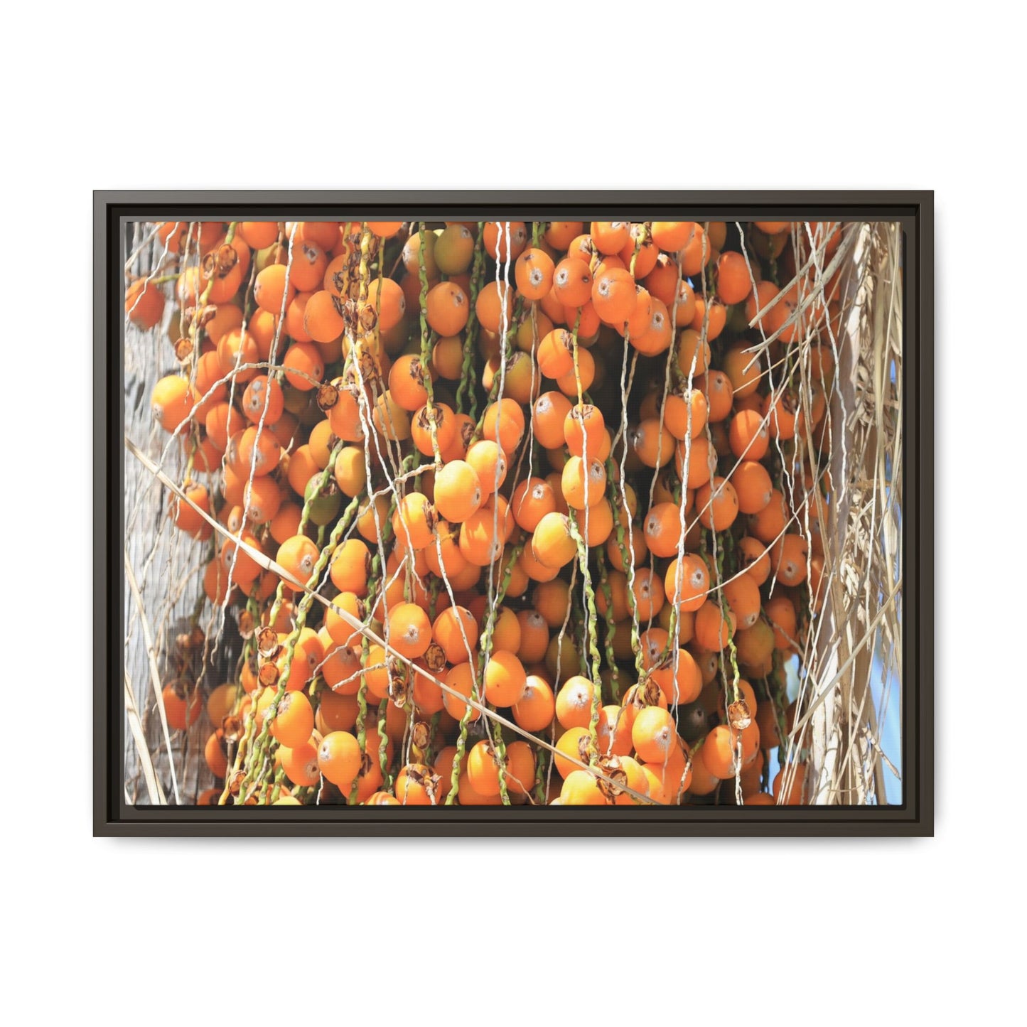 Clusters of Sunlight - Unique Canvas Wall Art