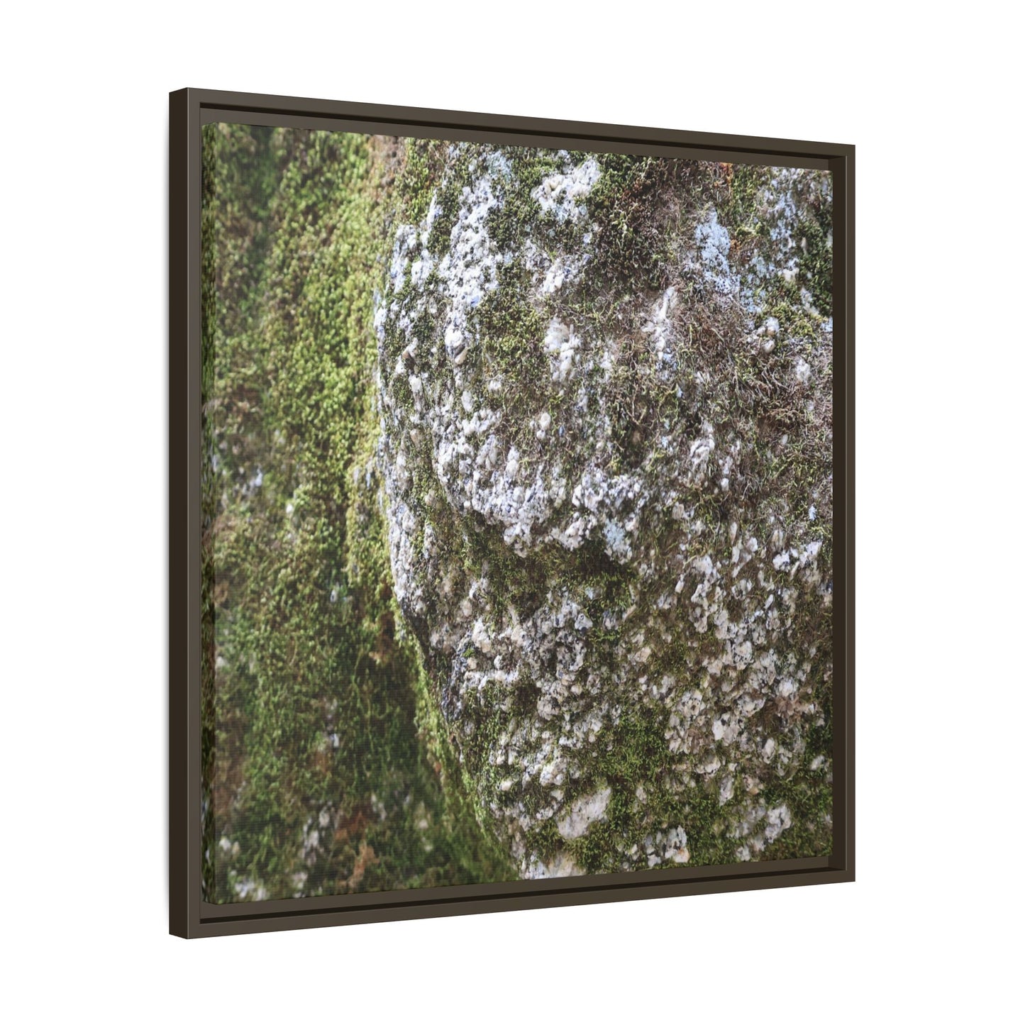 Lichen Landscape - Unique Stretched Canvas Wall Art