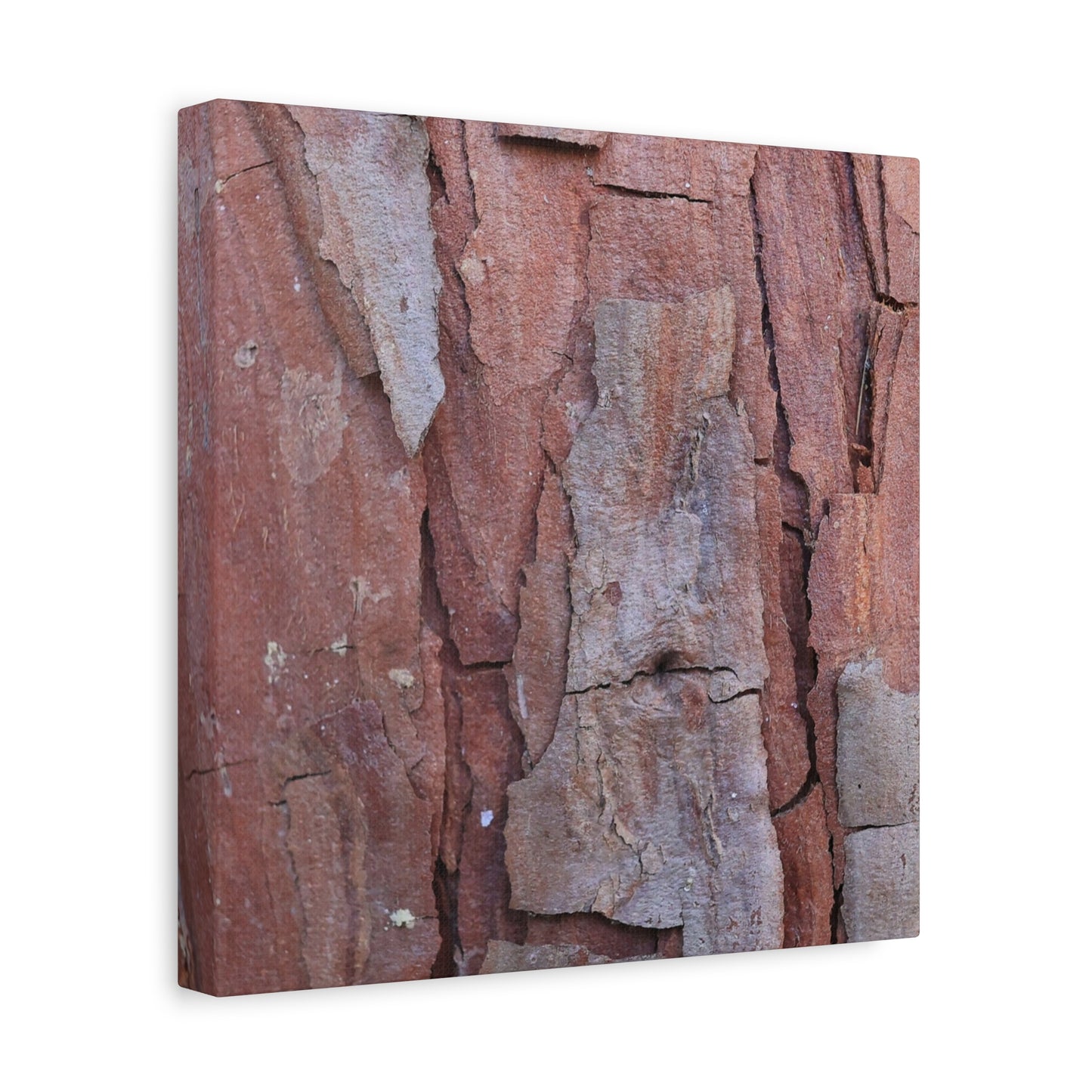 Fractal Rust - Unique Frameless Canvas Wall Art