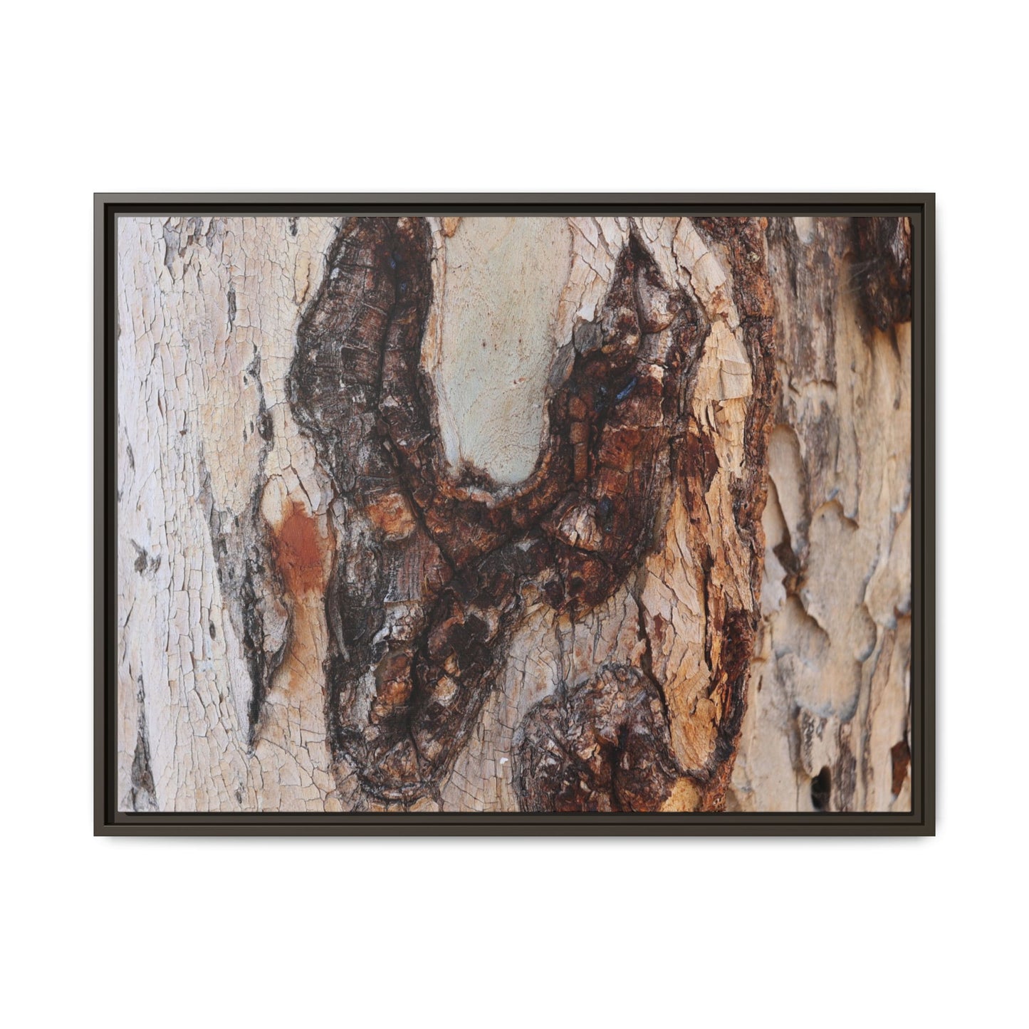 Texture of Time - Unique Stretched Canvas Wall Art