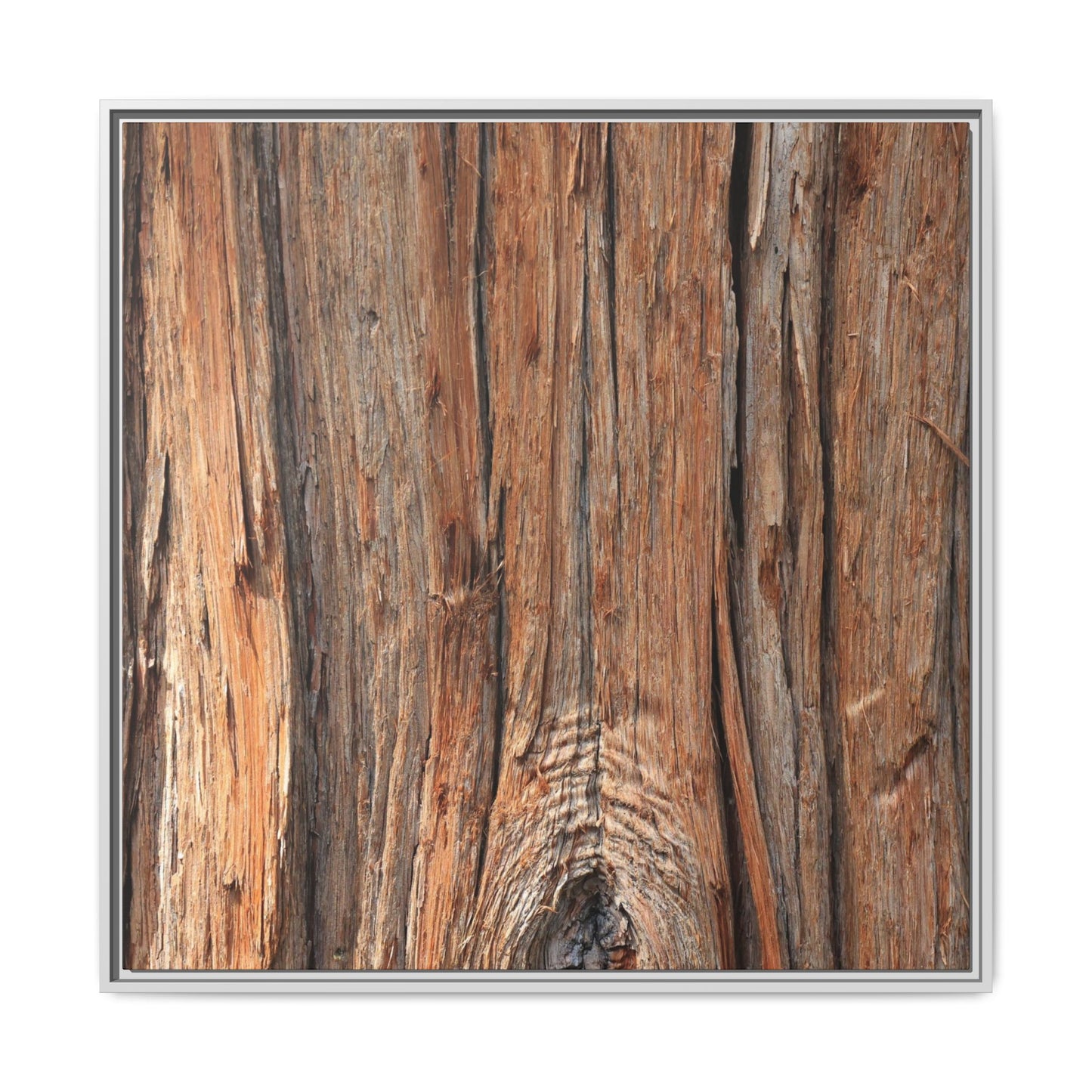Echoes of Timber - Unique Stretched Canvas Wall Art