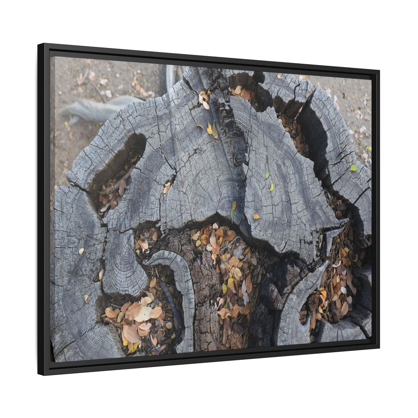 Time's Fractal Memory - Unique Stretched Canvas Wall Art