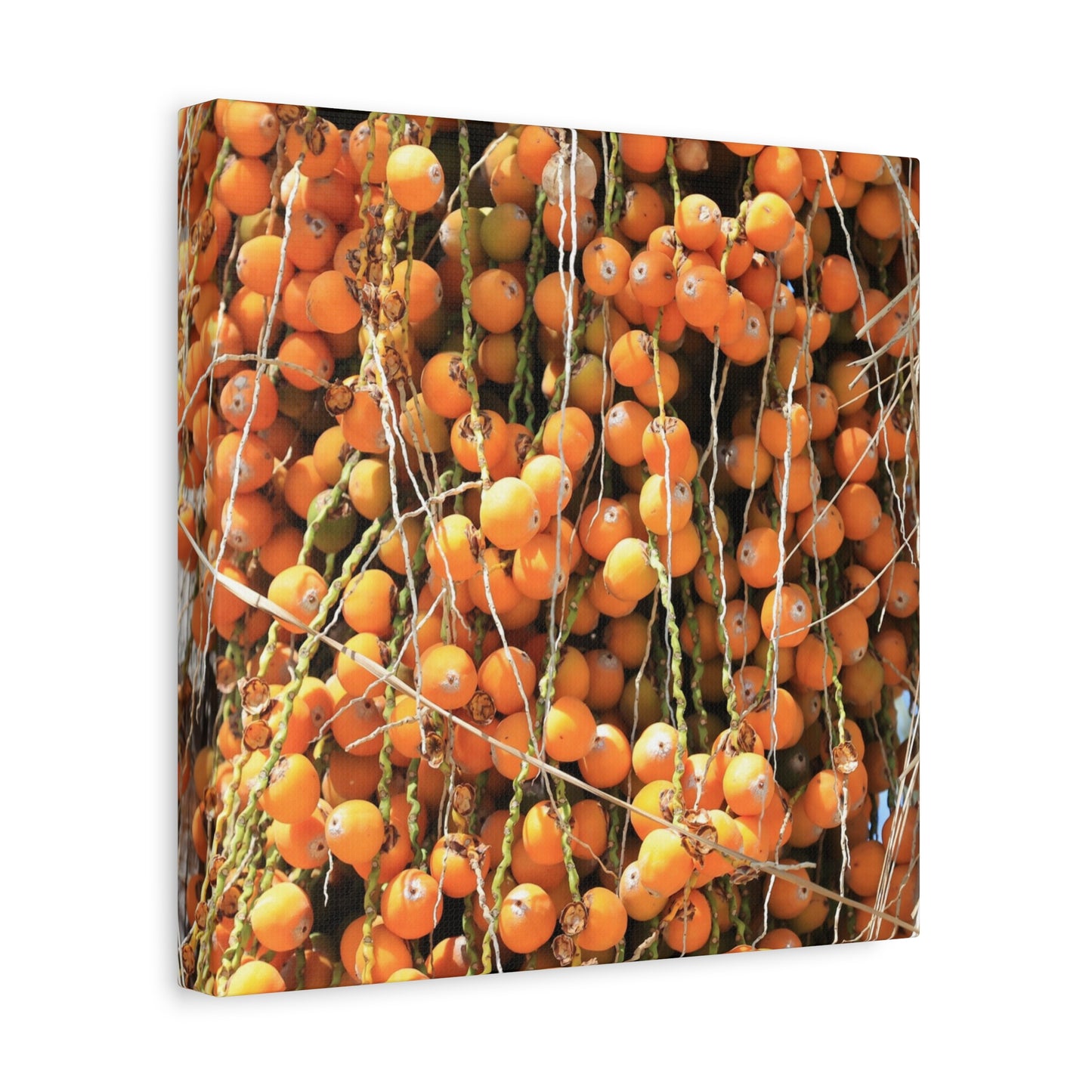 Orange Harvest - Unique Frameless Canvas Wall Art