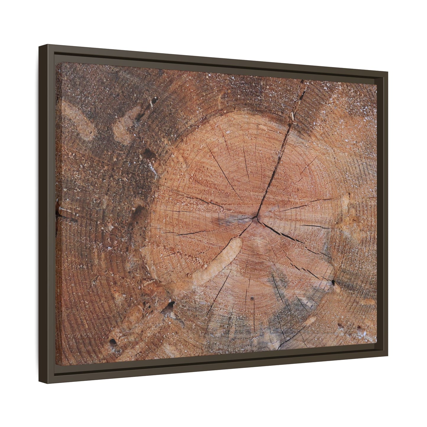 Concentric Memories - Unique Stretched Canvas Wall Art