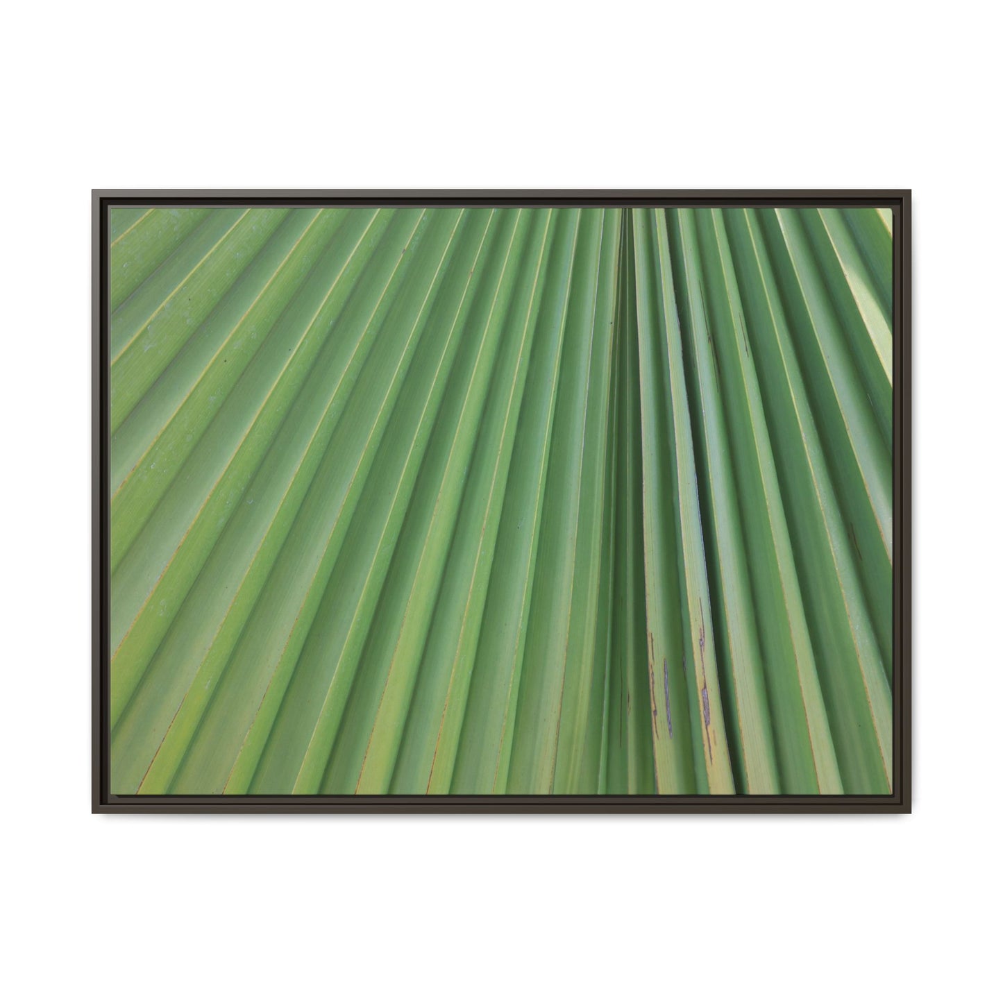 Emerald Rays - Unique Stretched Canvas Wall Art