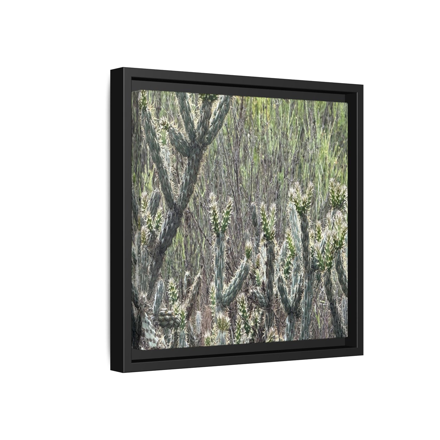 Prickly Paradise - Unique Stretched Canvas Wall Art