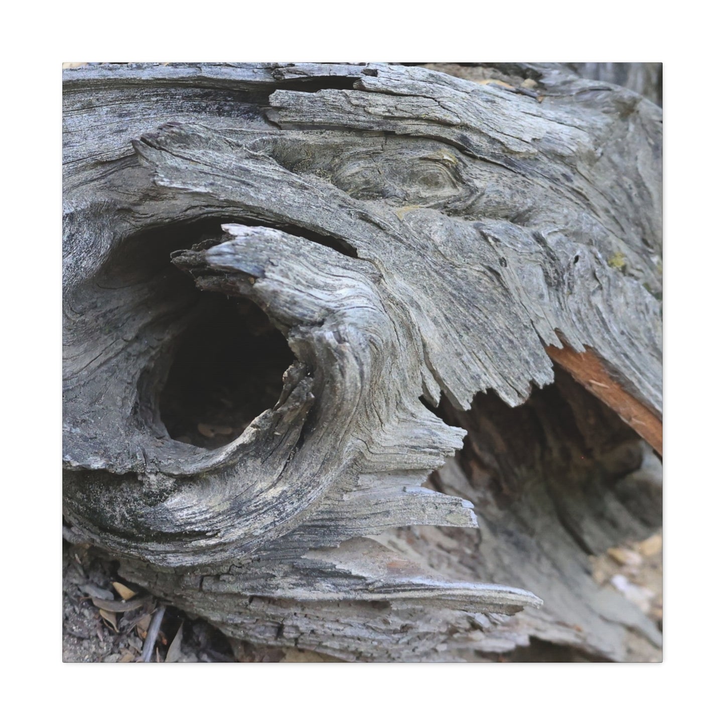 Twisted Whispers of the Forest Floor - Unique Frameless Canvas Wall Art