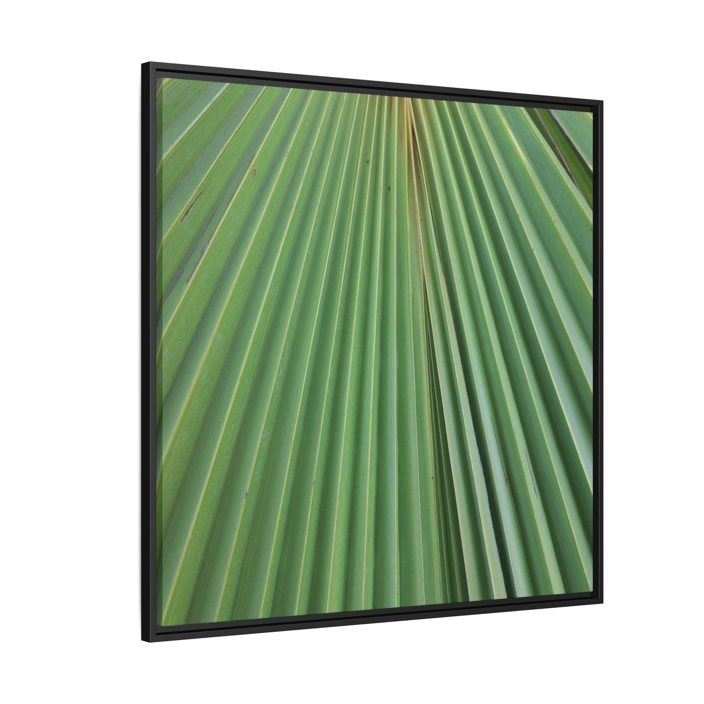 Verdant Veins - Unique Stretched Canvas Wall Art