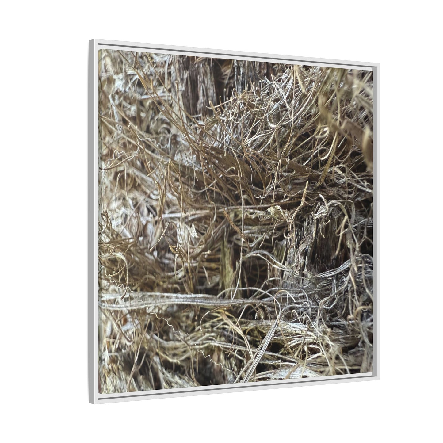 Tangled Whispers of Autumn - Unique Stretched Canvas Wall Art