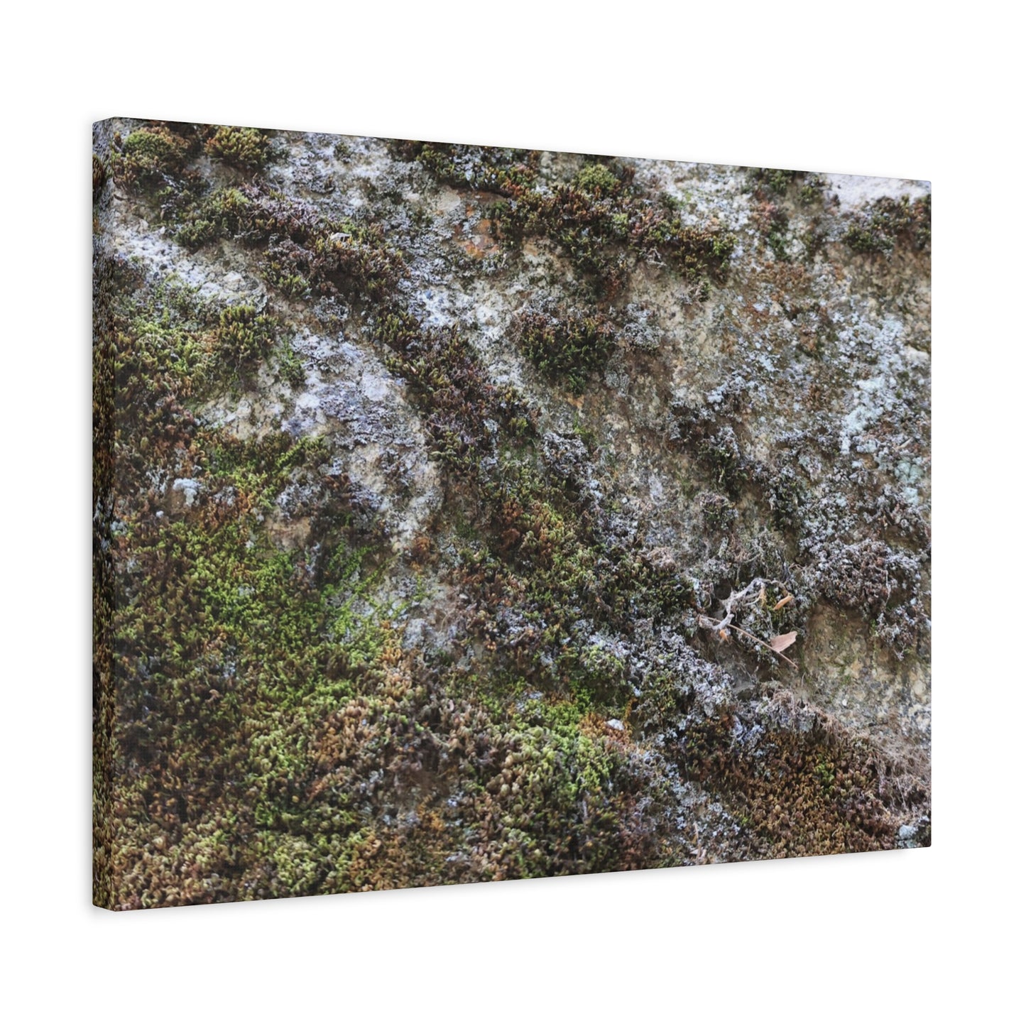 Moss Tapestry - Unique Frameless Canvas Wall Art