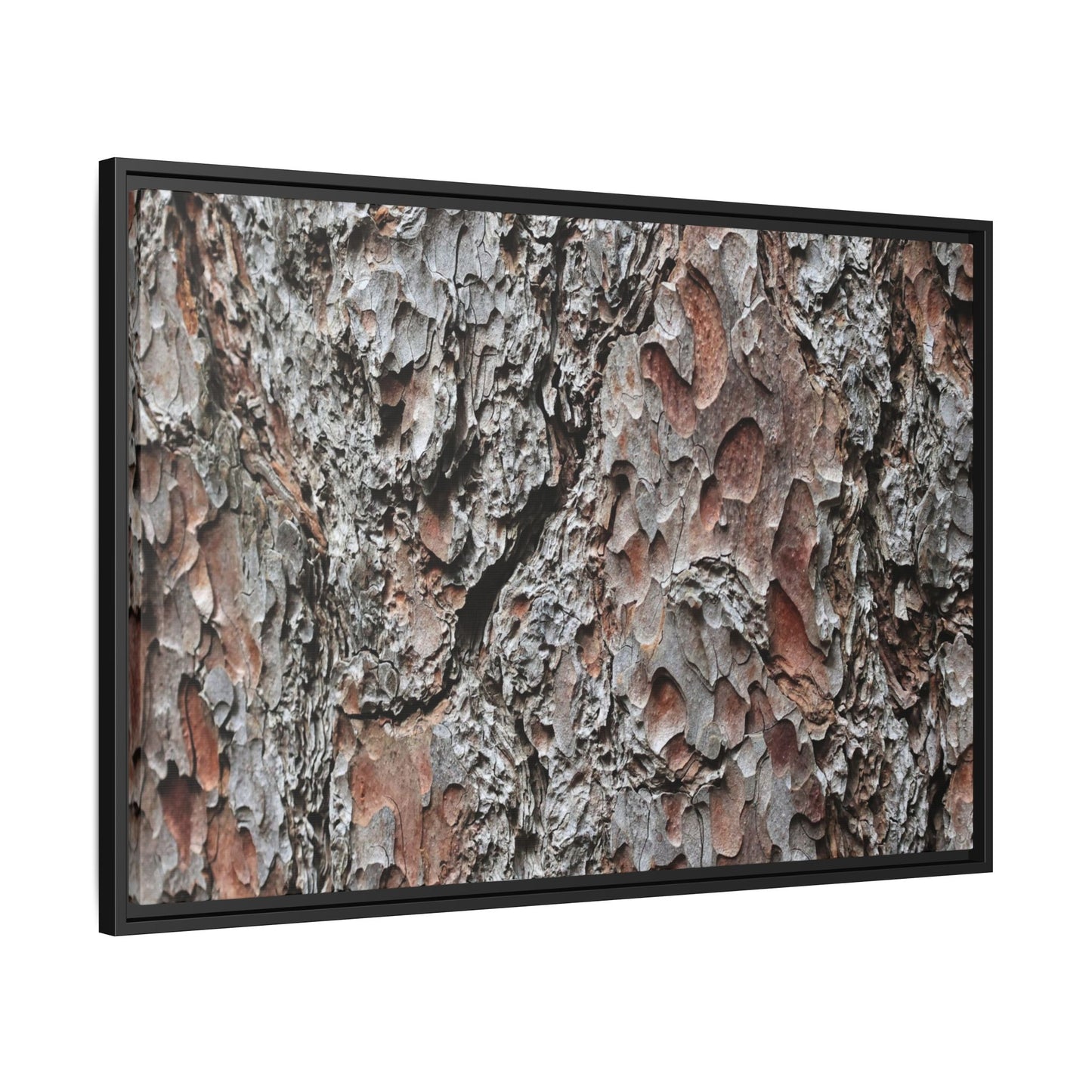 Bark Texture Symphony - Unique Stretched Canvas Wall Art