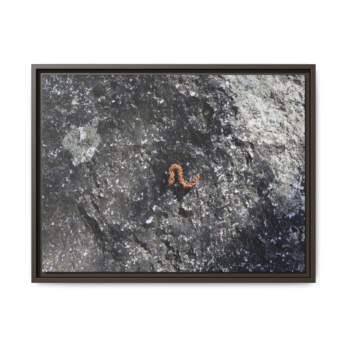 Volcanic Ash and Copper - Unique Stretched Canvas Wall Art