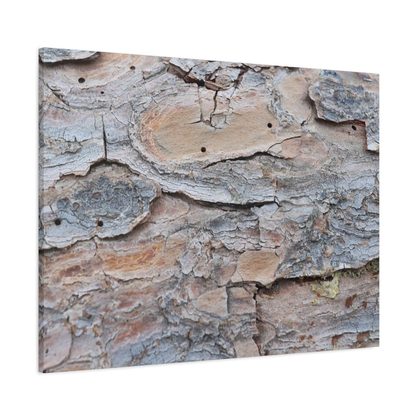Textural Geology - Unique Frameless Canvas Wall Art