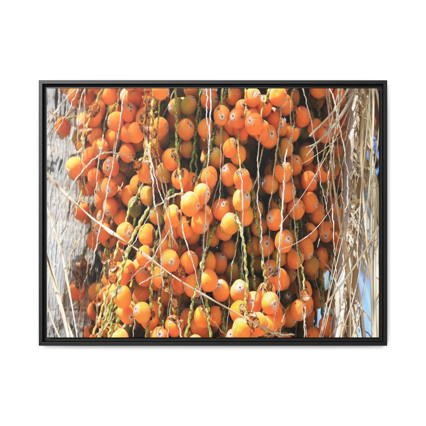 Clusters of Sunlight - Unique Canvas Wall Art