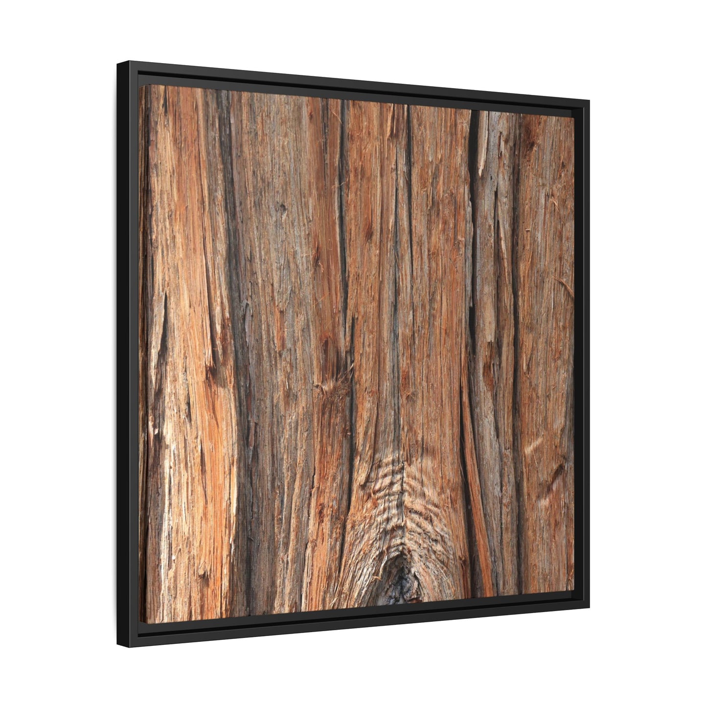 Echoes of Timber - Unique Stretched Canvas Wall Art