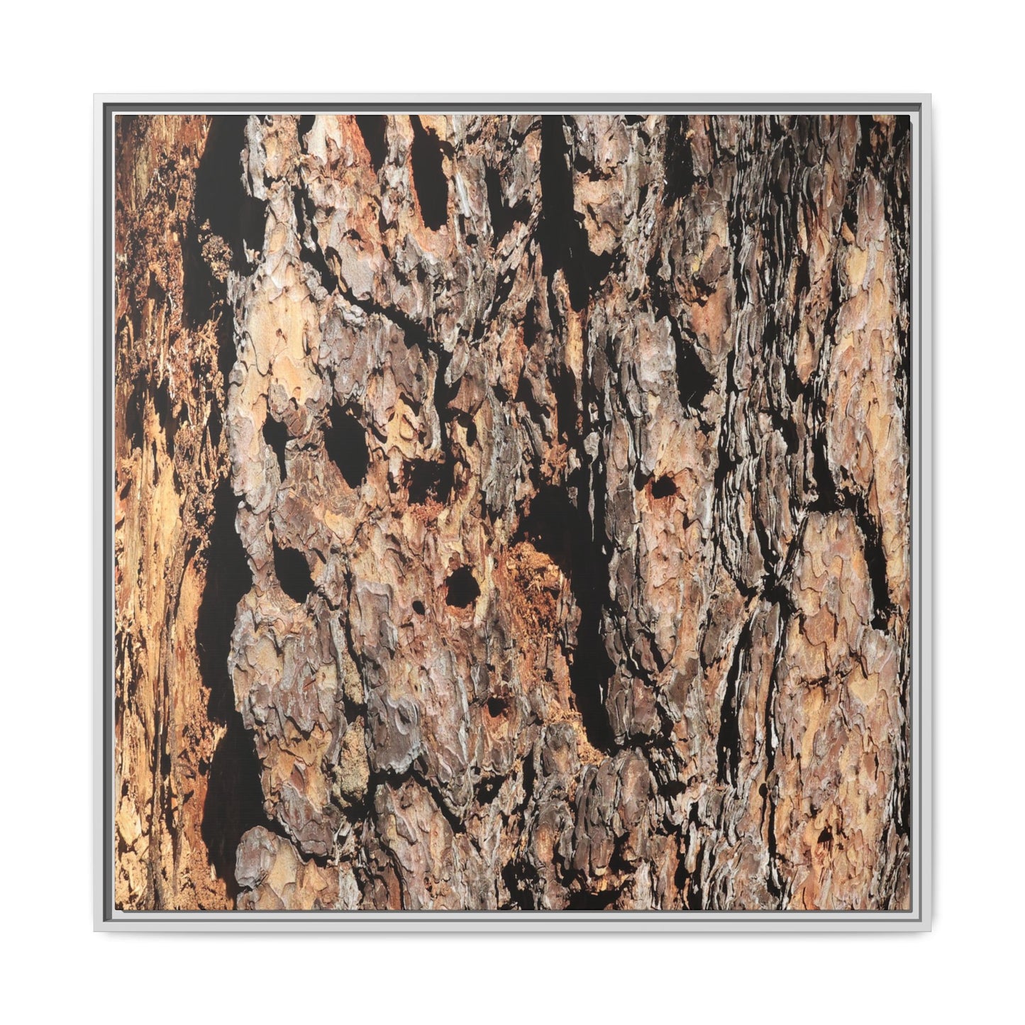 Rugged Rhythms - Unique Stretched Canvas Wall Art