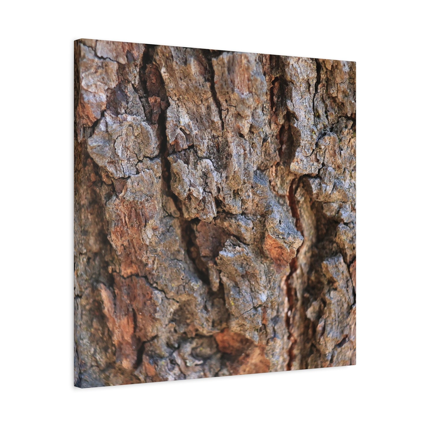 Nature's Skin - Unique Frameless Canvas Wall Art