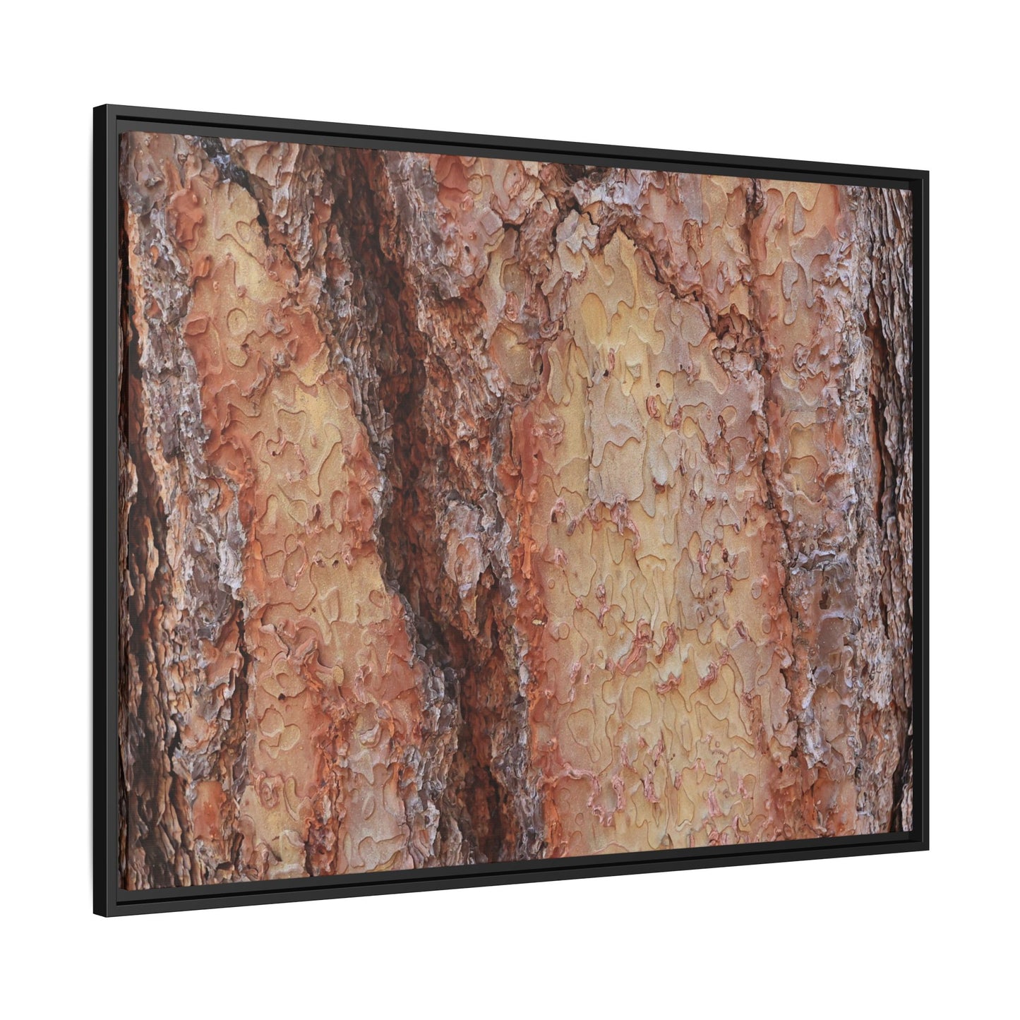 Rustic Rhythms - Unique Stretched Canvas Wall Art