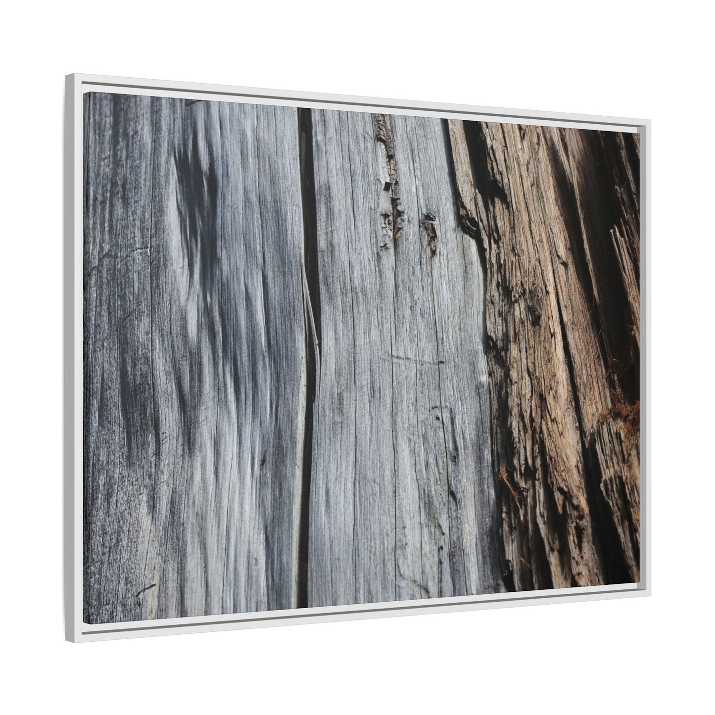 Wood's Lament - Unique Stretched Canvas Wall Art