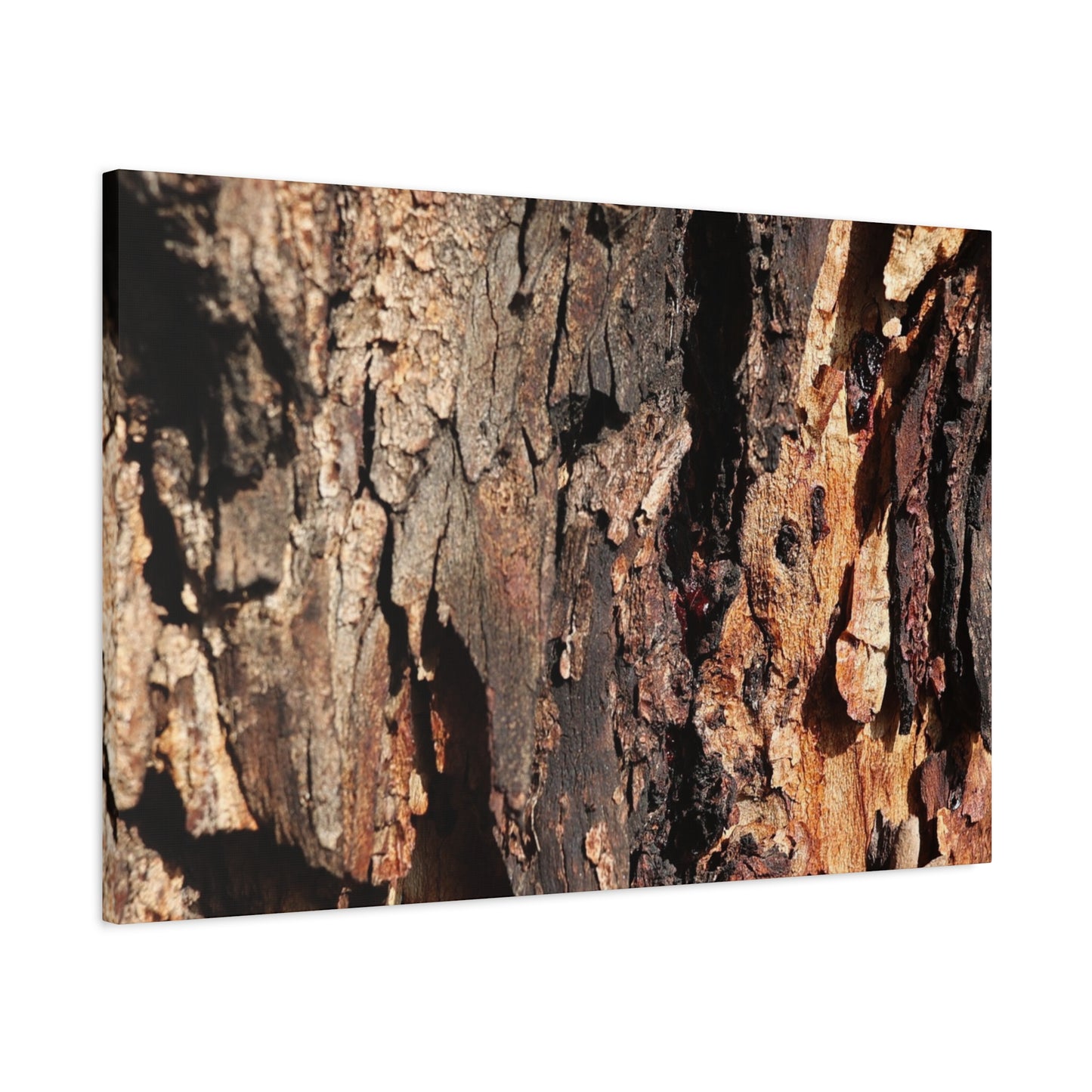Wooden Terrain - Unique Frameless Canvas Wall Art