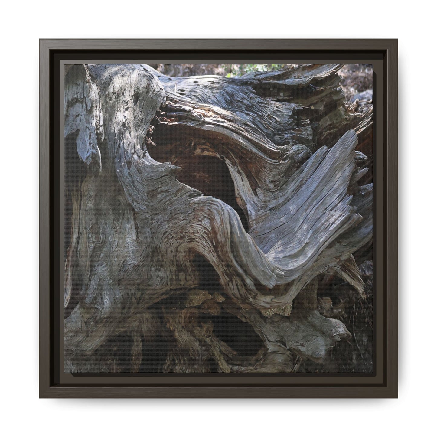 Twisted Memories - Unique Stretched Canvas Wall Art
