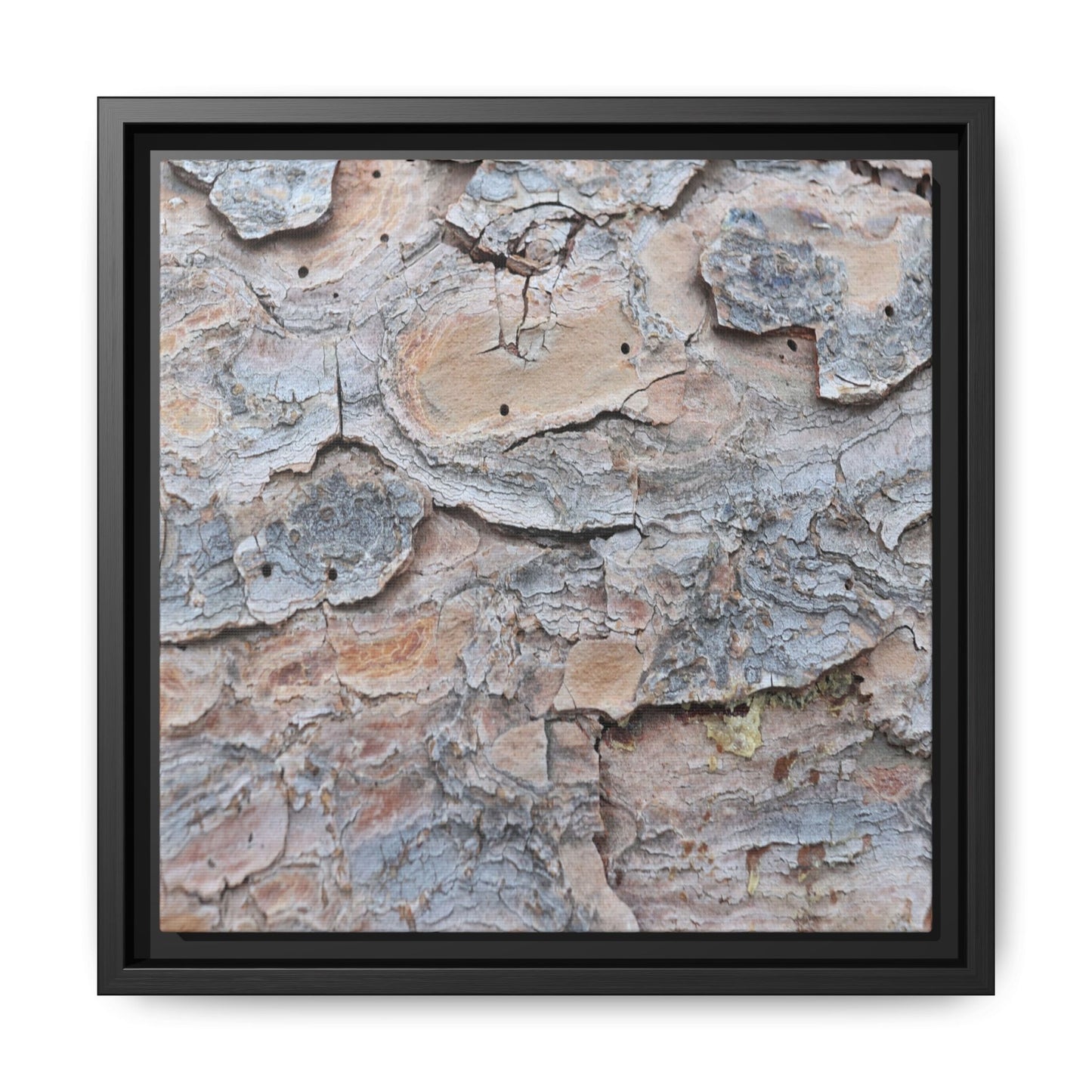 Peeling Memories - Unique Stretched Canvas Wall Art