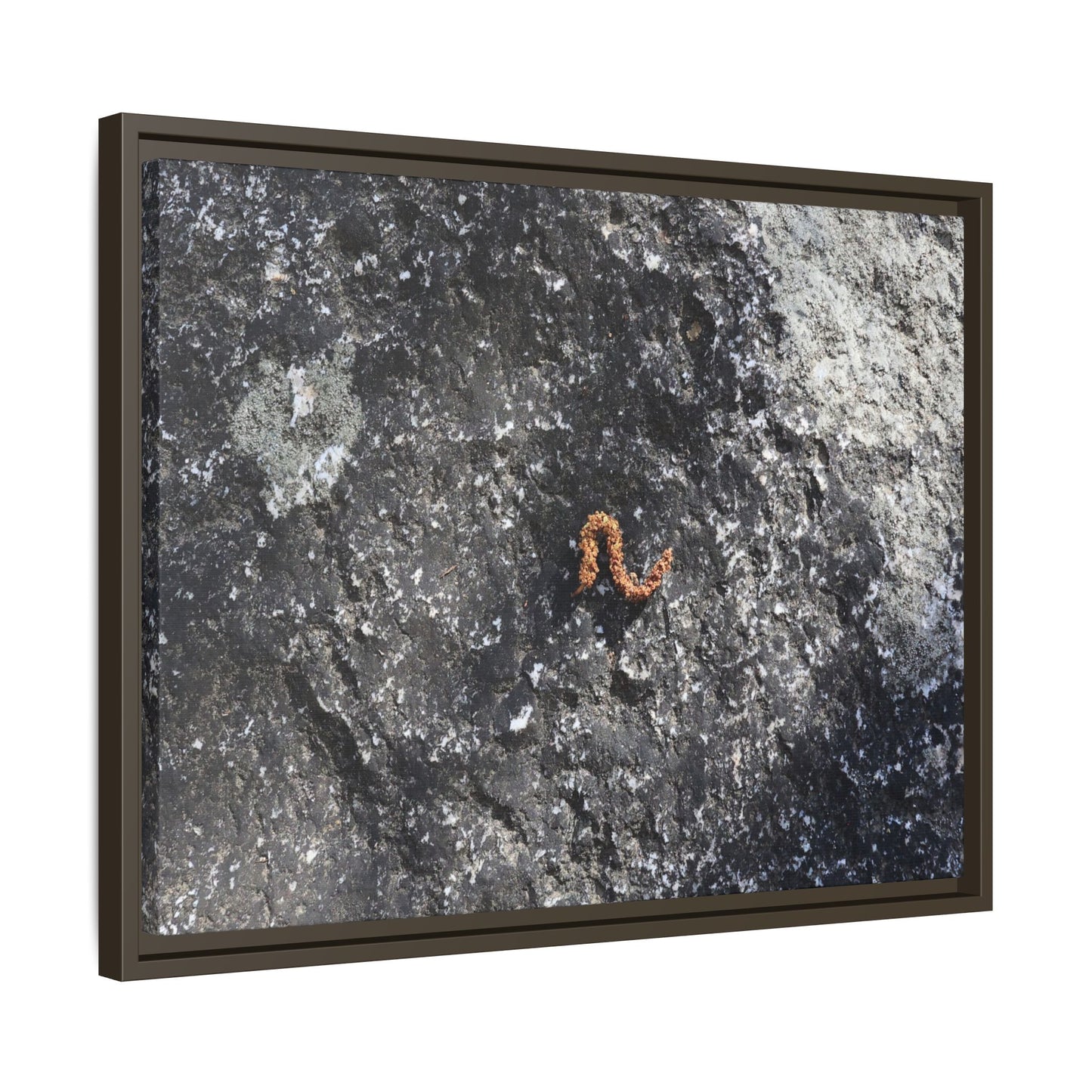 Volcanic Ash and Copper - Unique Stretched Canvas Wall Art