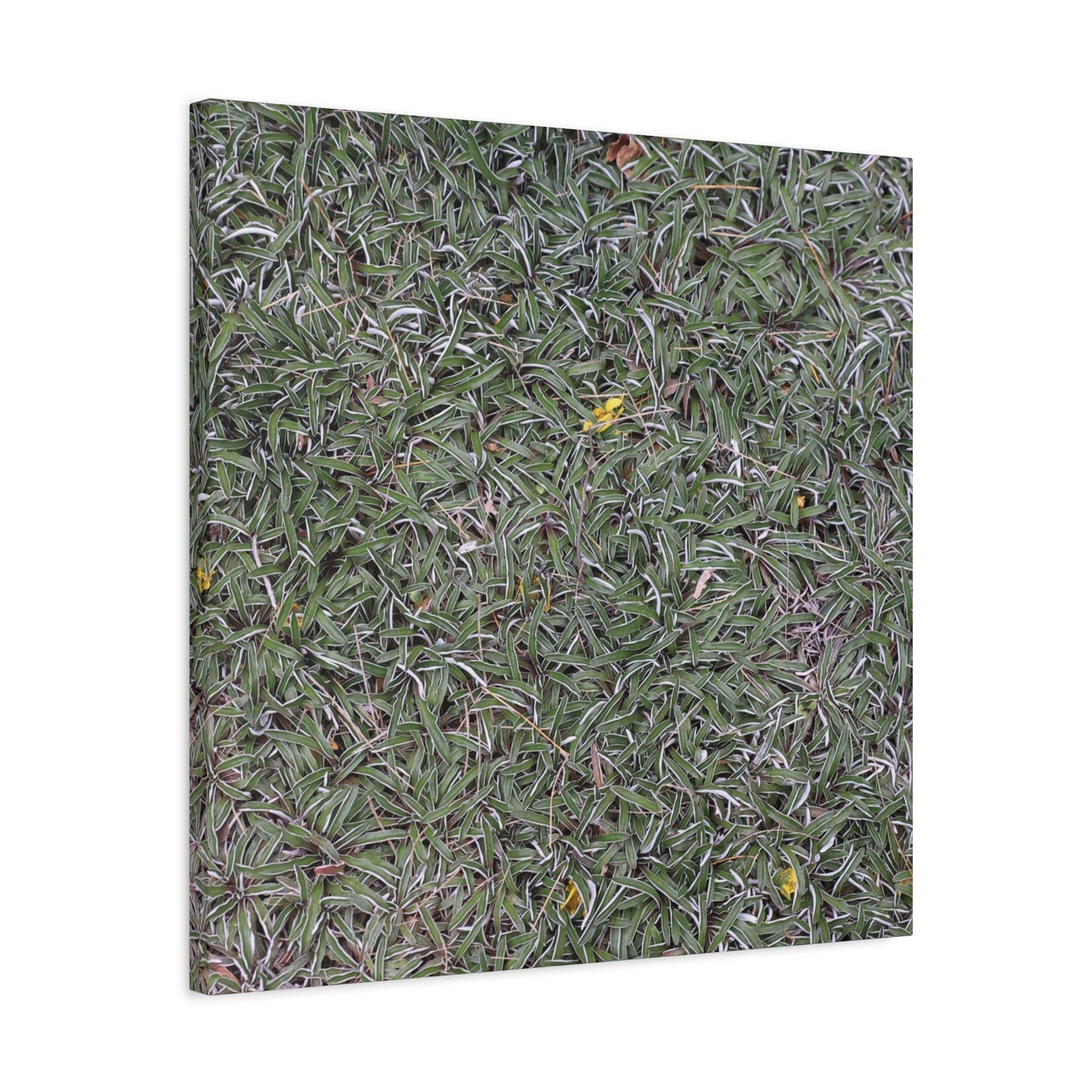 Tangled Memories - Unique Frameless Canvas Wall Art