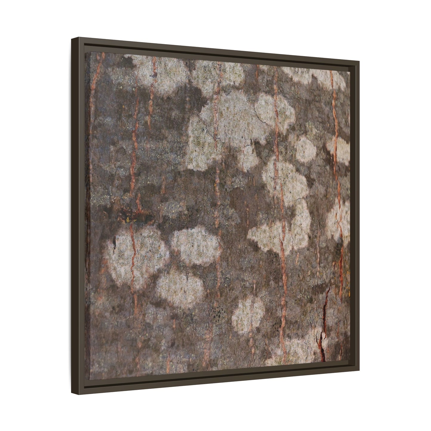 Lichen's Legacy - Unique Stretched Canvas Wall Art
