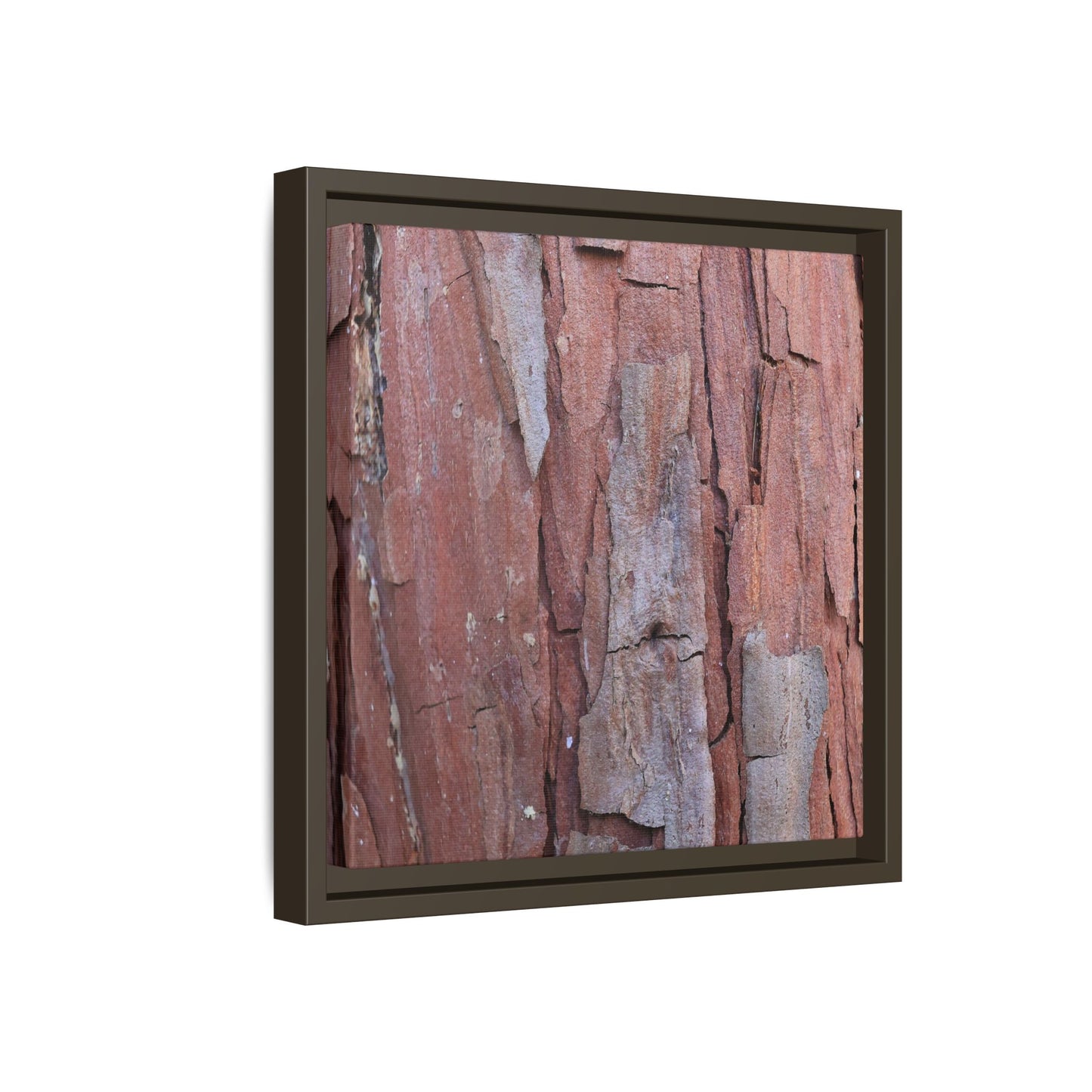 Peeling Bark - Unique Stretched Canvas Wall Art