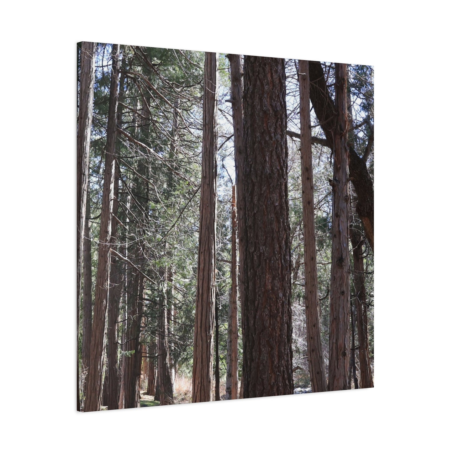 Vertical Sentinels - Unique Frameless Canvas Wall Art