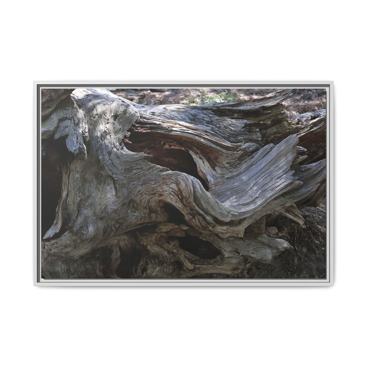 Twisted Memories - Unique Stretched Canvas Wall Art