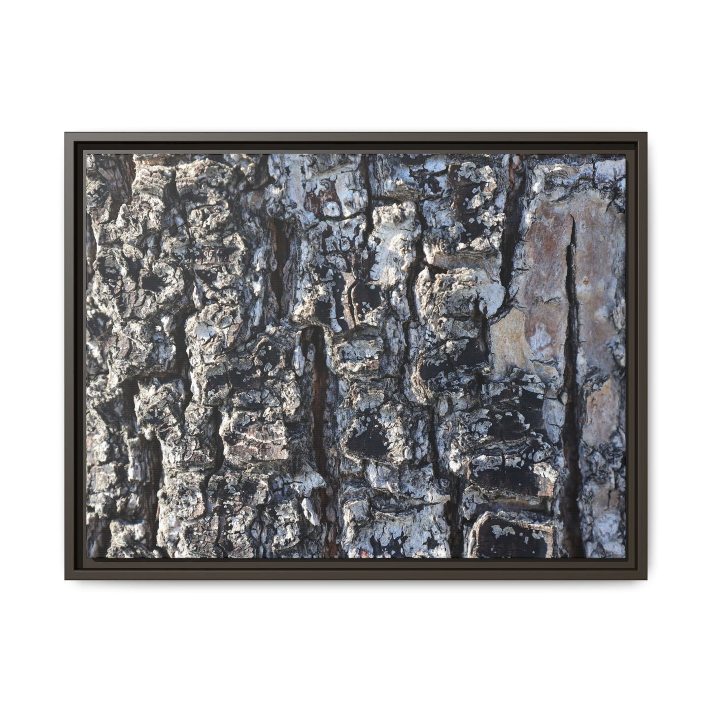 The Bark Chronicles - Unique Stretched Canvas Wall Art