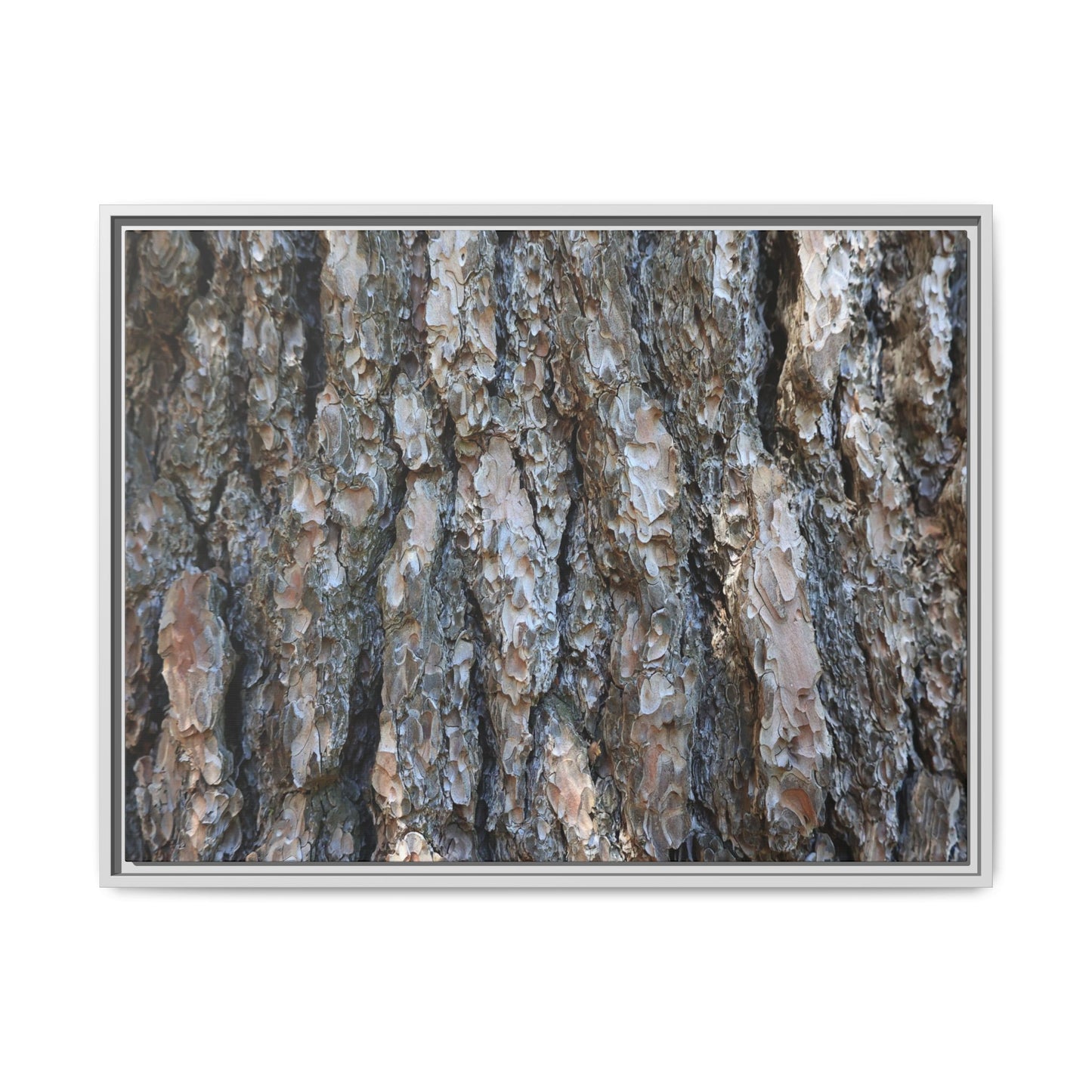 Bark Whispers - Unique Stretched Canvas Wall Art