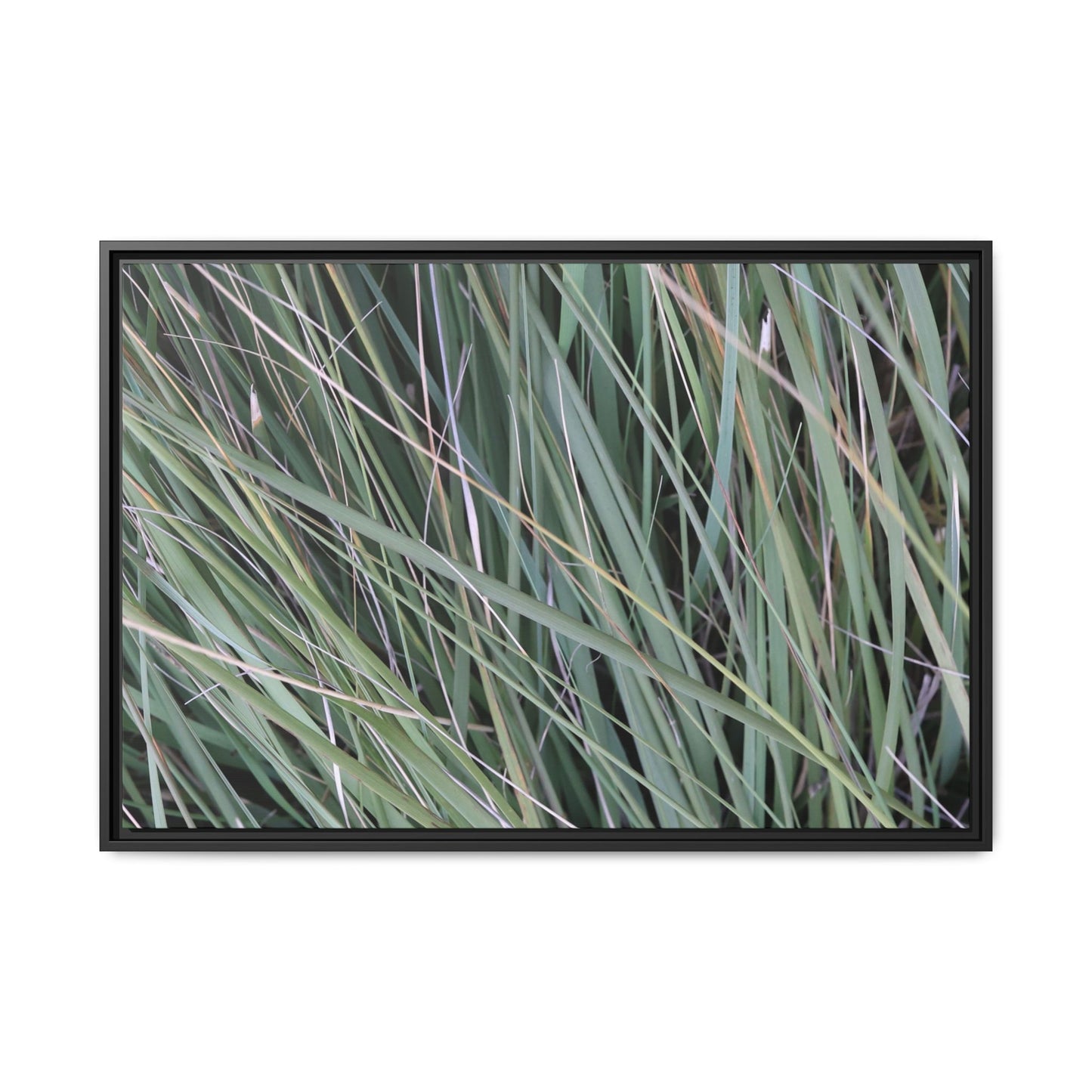 Grassland Symphony - Unique Stretched Canvas Wall Art