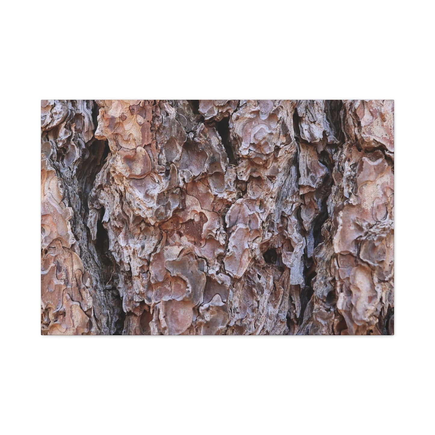 Rough Canvas - Unique Frameless Canvas Wall Art