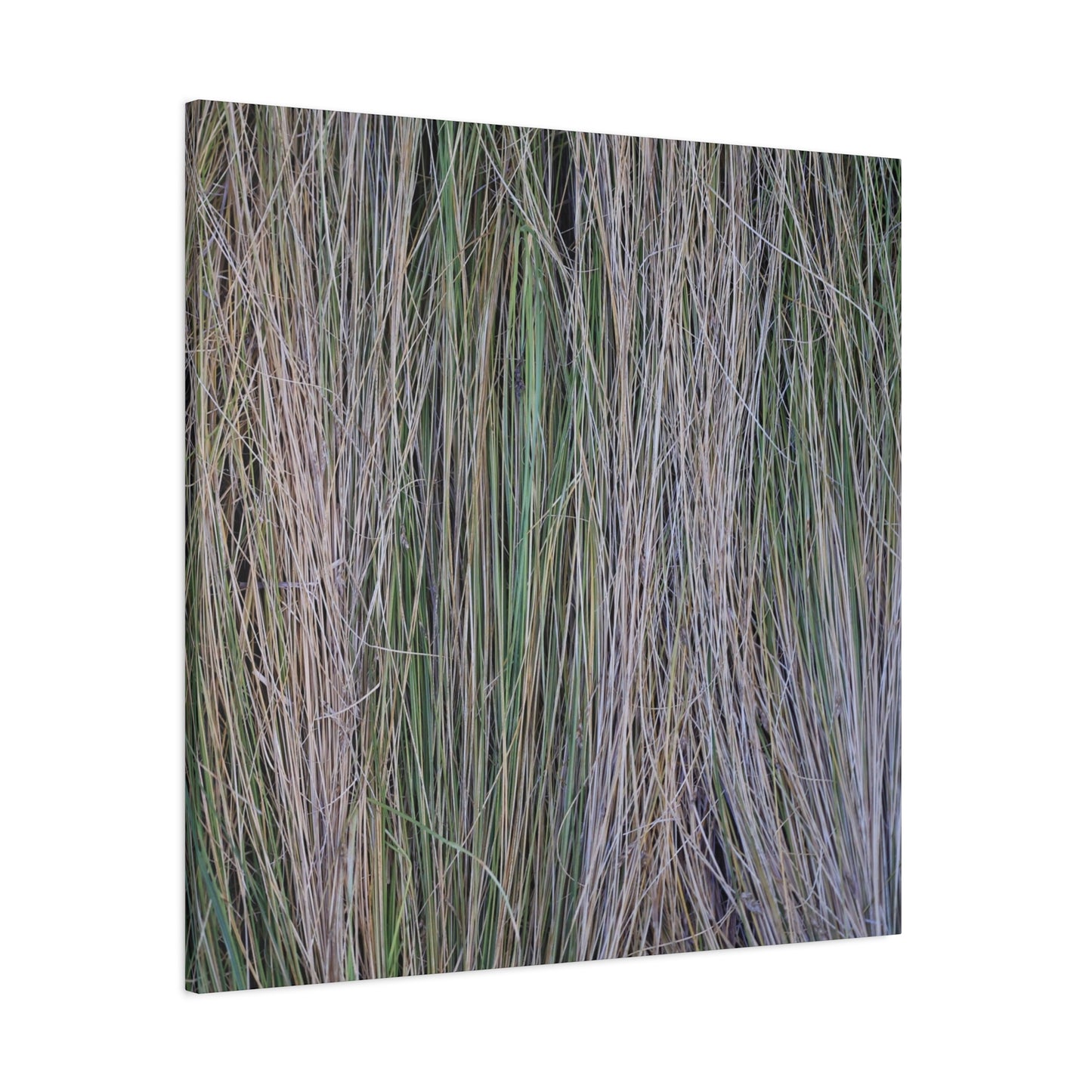 Whispers of Grass - Unique Frameless Canvas Wall Art