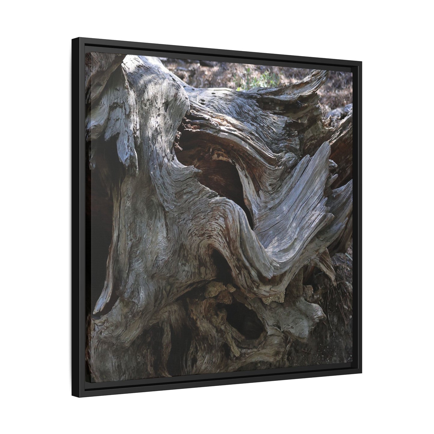 Twisted Memories - Unique Stretched Canvas Wall Art