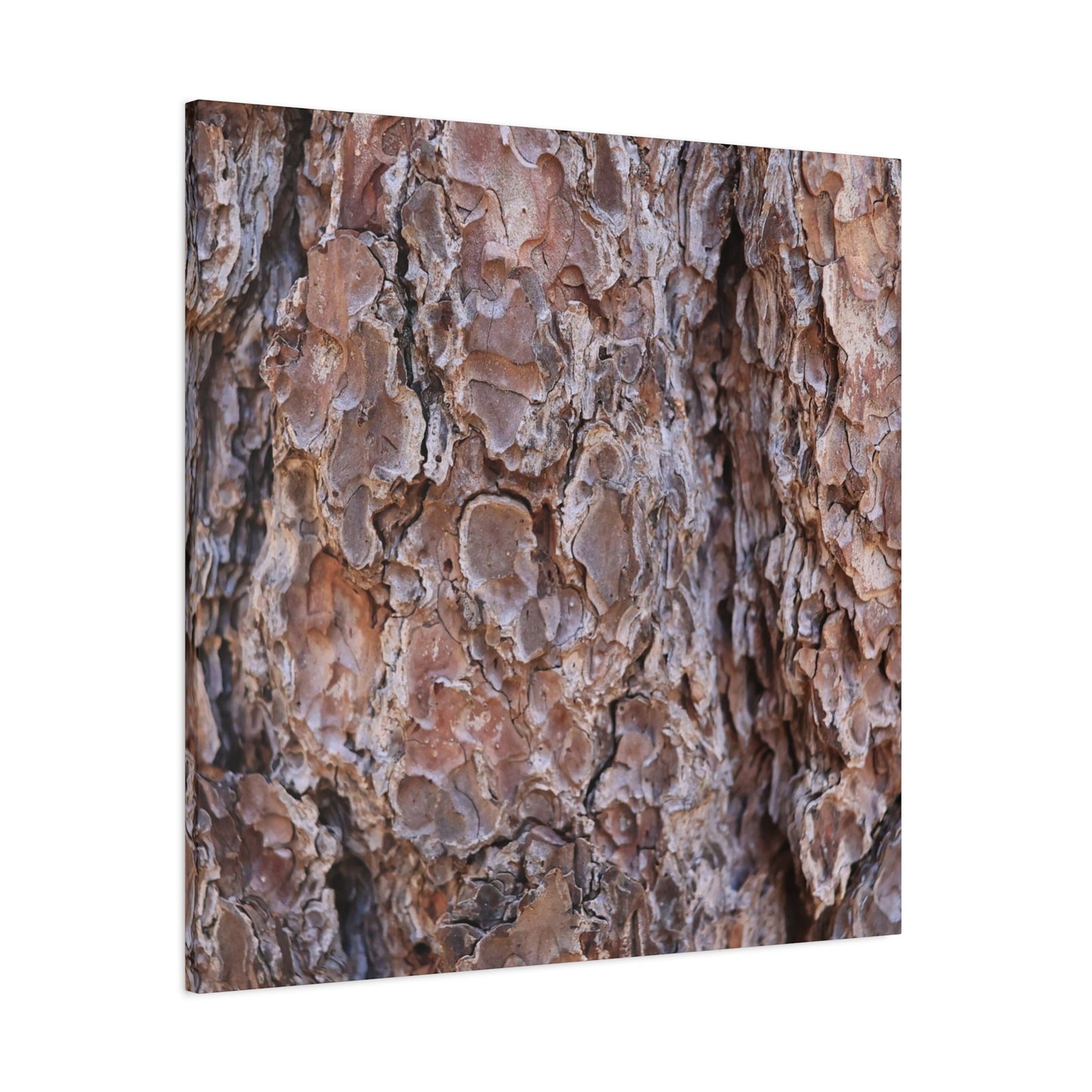 Rugged Bark Landscape - Unique Frameless Canvas Wall Art
