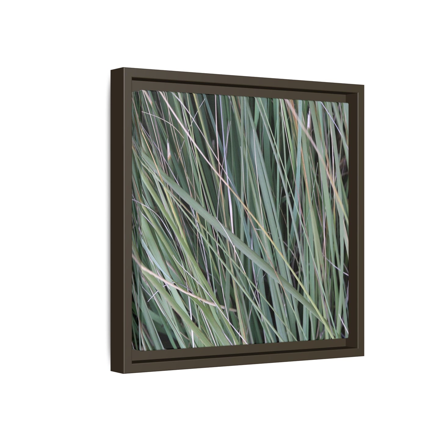 Grassland Symphony - Unique Stretched Canvas Wall Art