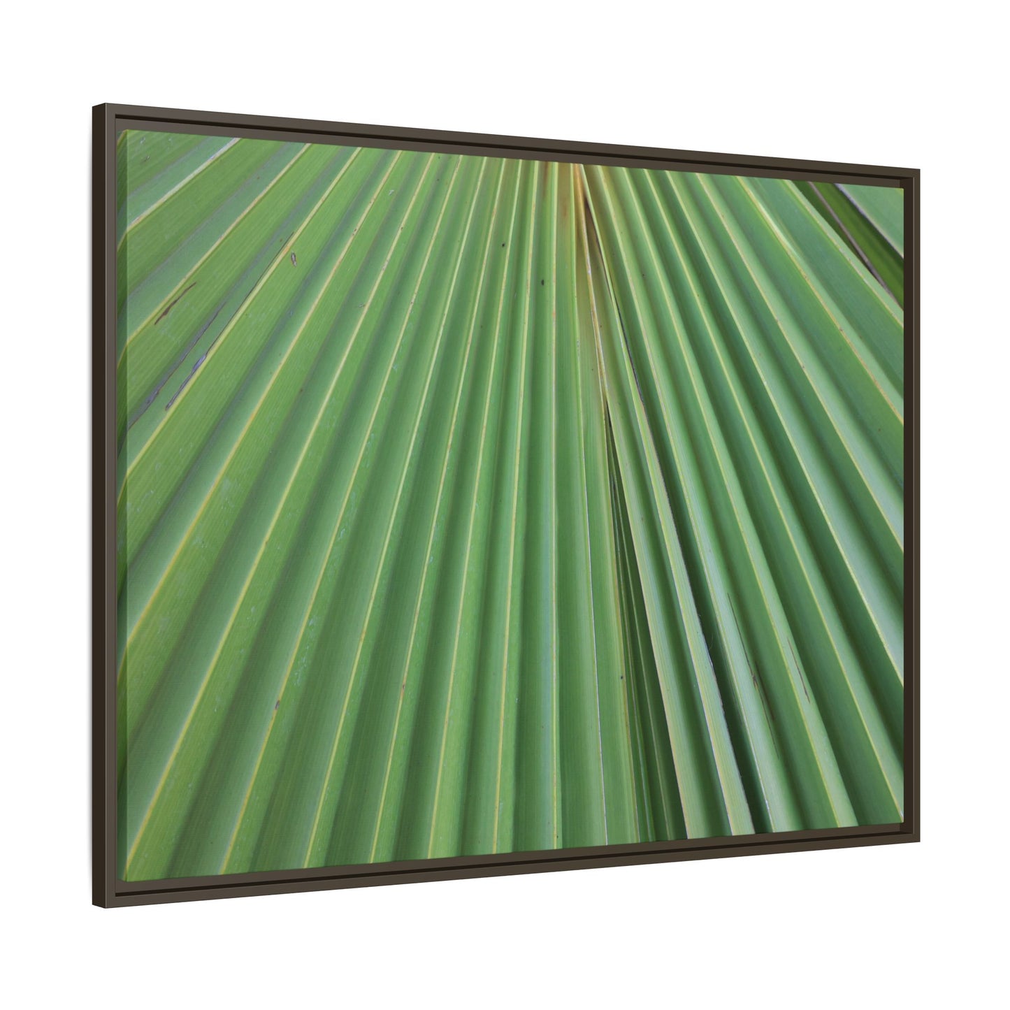 Verdant Veins - Unique Stretched Canvas Wall Art