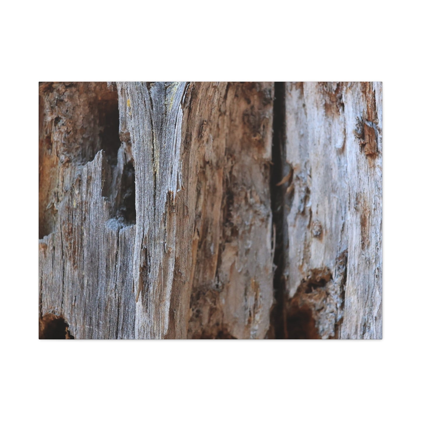 Timber Tapestry - Unique Frameless Canvas Wall Art