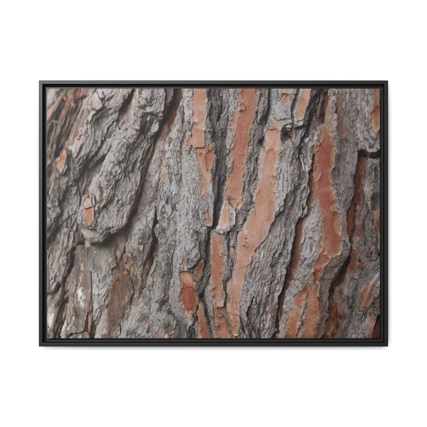 Woodland Layers - Unique Stretched Canvas Wall Art