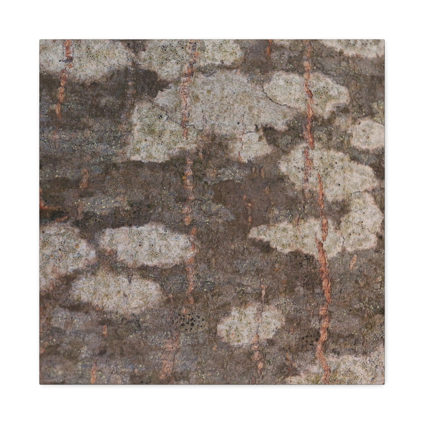 Earthen Memoir - Unique Frameless Canvas Wall Art