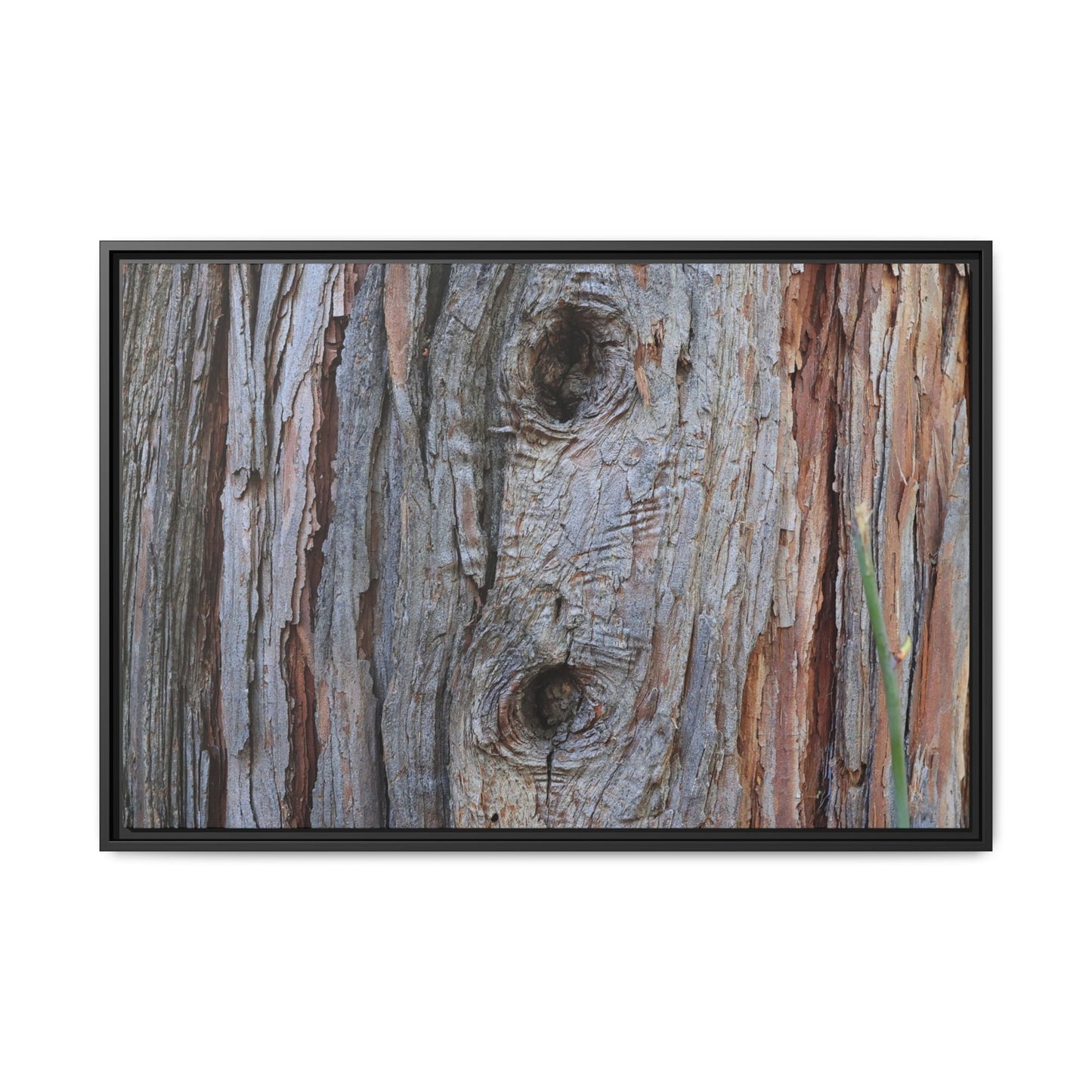 Knotty Nature - Unique Stretched Canvas Wall Art