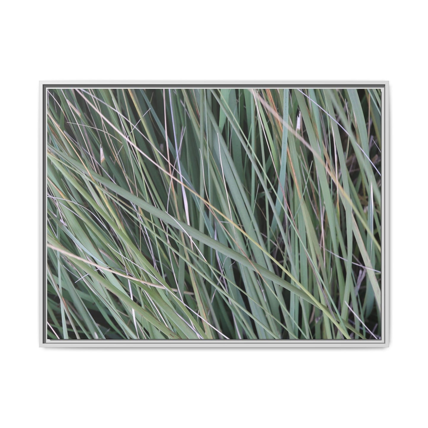 Grassland Symphony - Unique Stretched Canvas Wall Art